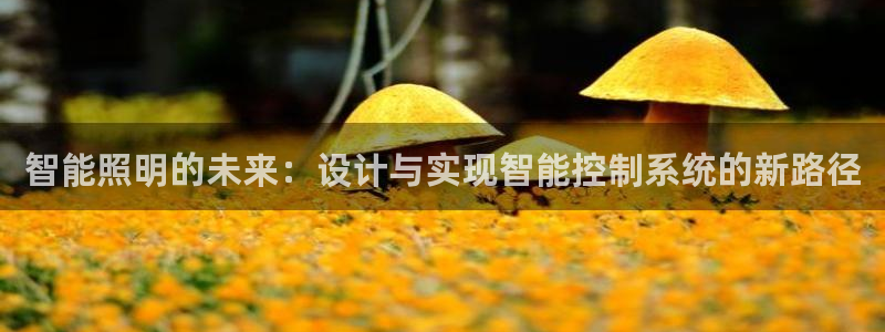 智能照明的未来:设计与实现智能控制系统的