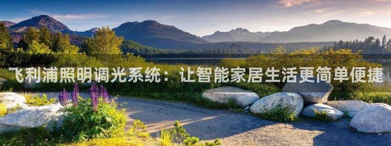 飞利浦照明调光系统:让智能家居生活更简单