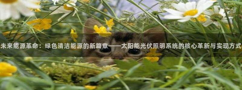 未来能源革命:绿色清洁能源的新篇章——太
